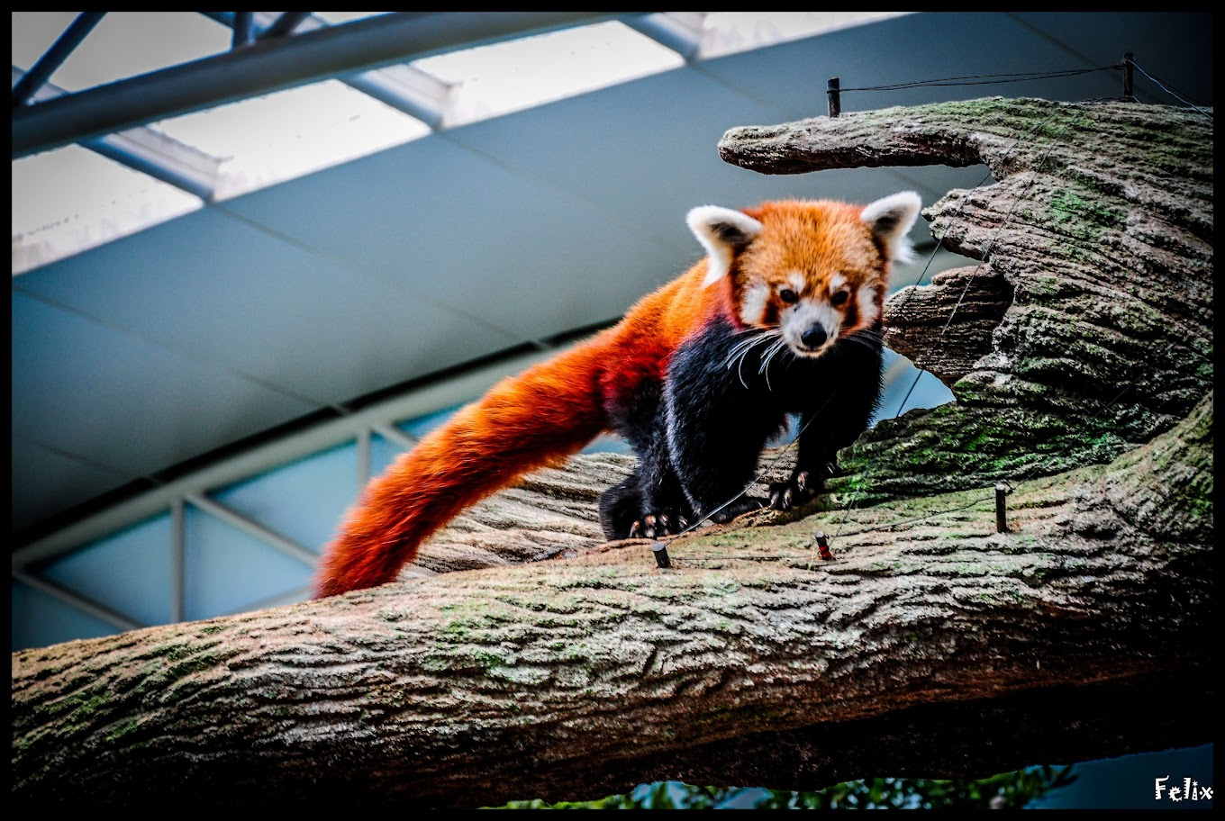 Mandai Wildlife Reserve