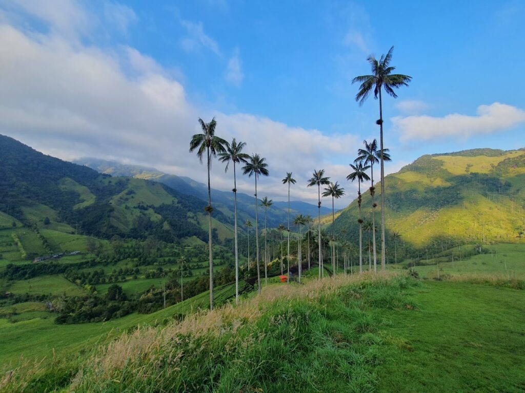 Valle del Cocora Colombia