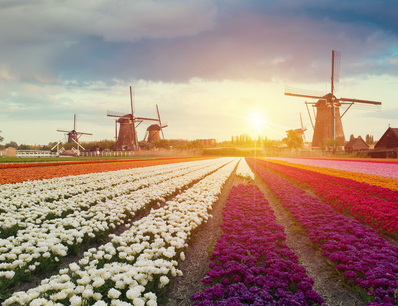 The digital nomad lifestyle